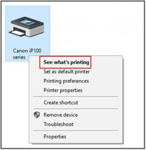Manually Set Canon Printer Online