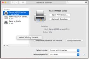 Reset canon printing system